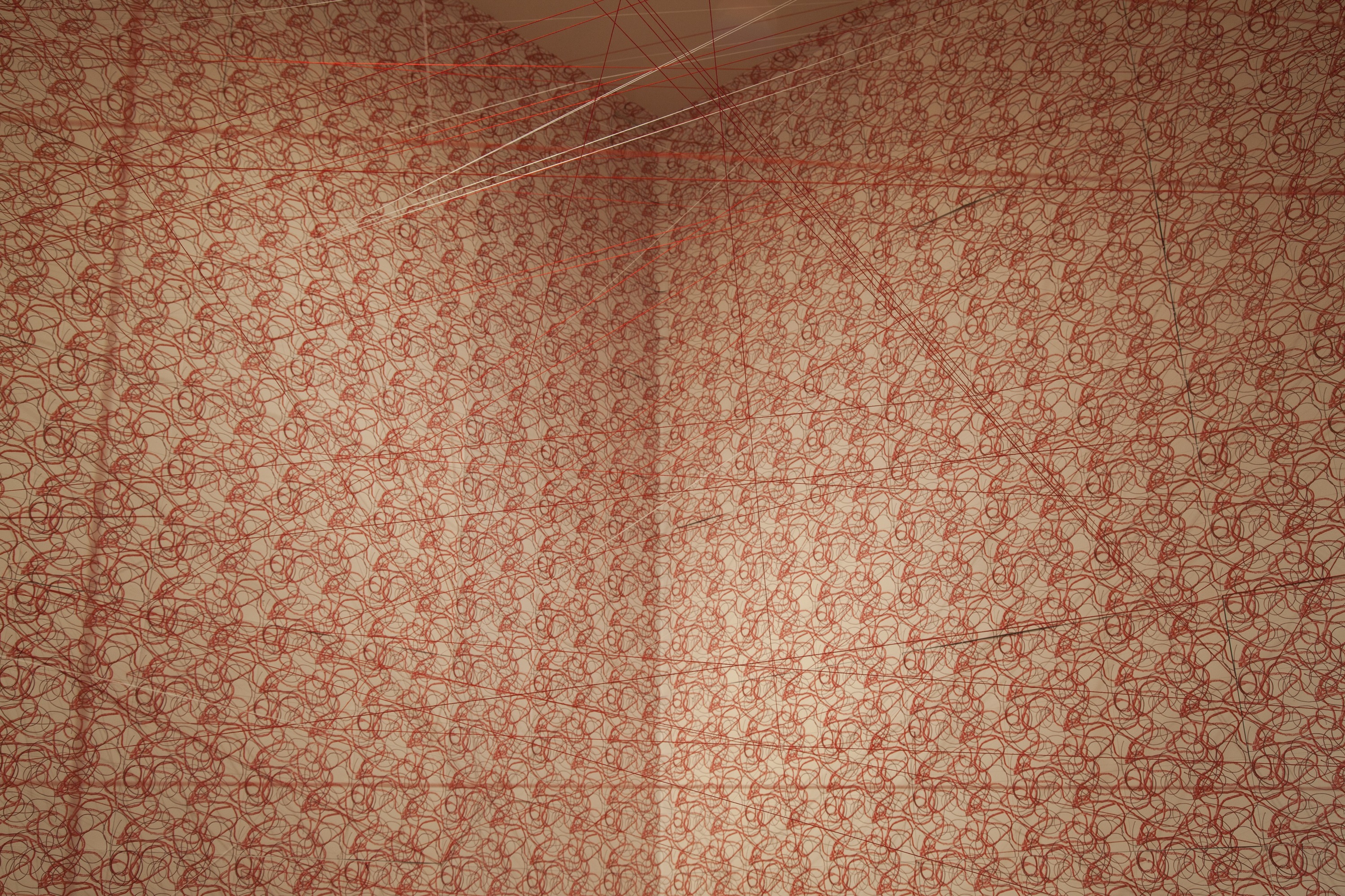Not Here, Nor There — image 10 of 21