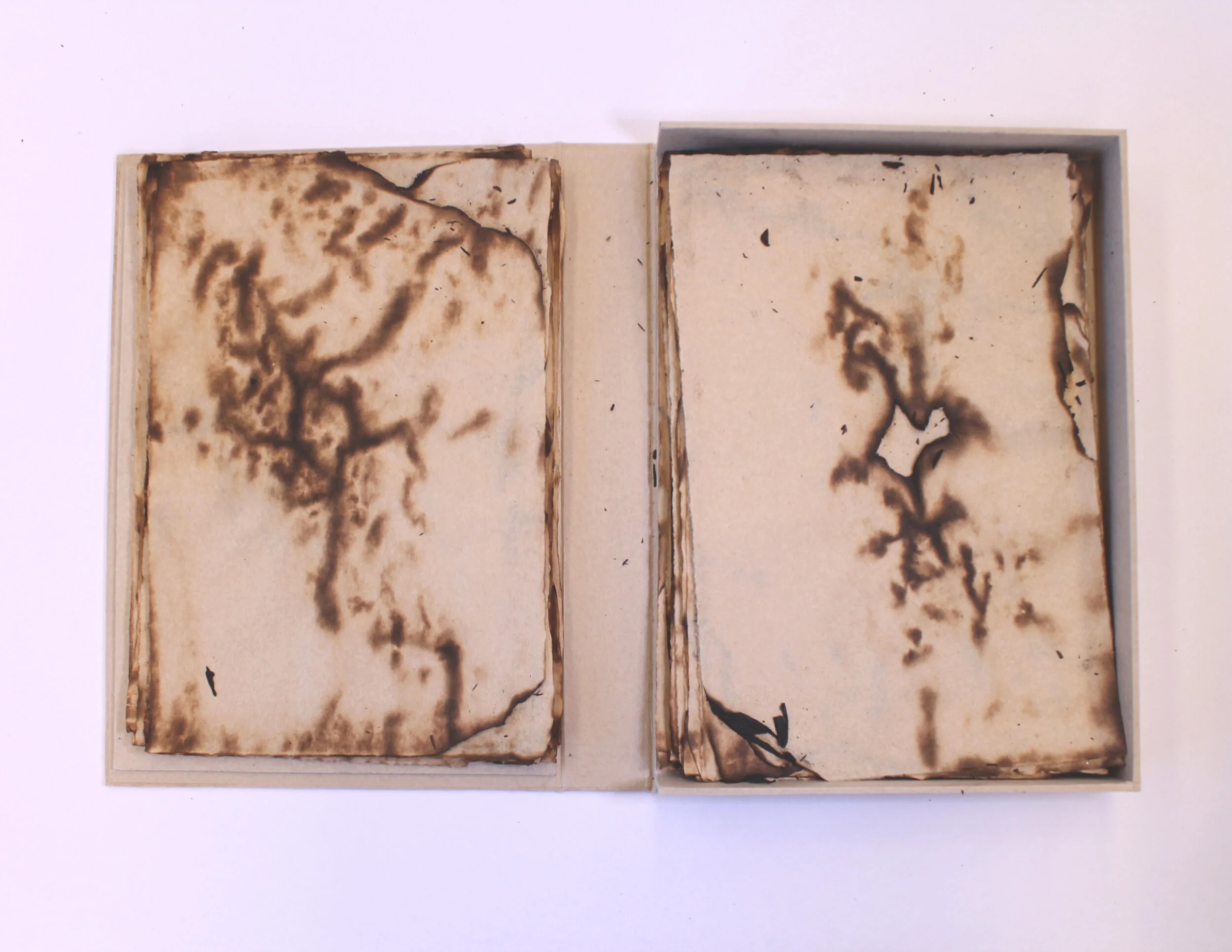 Void — image 3 of 4